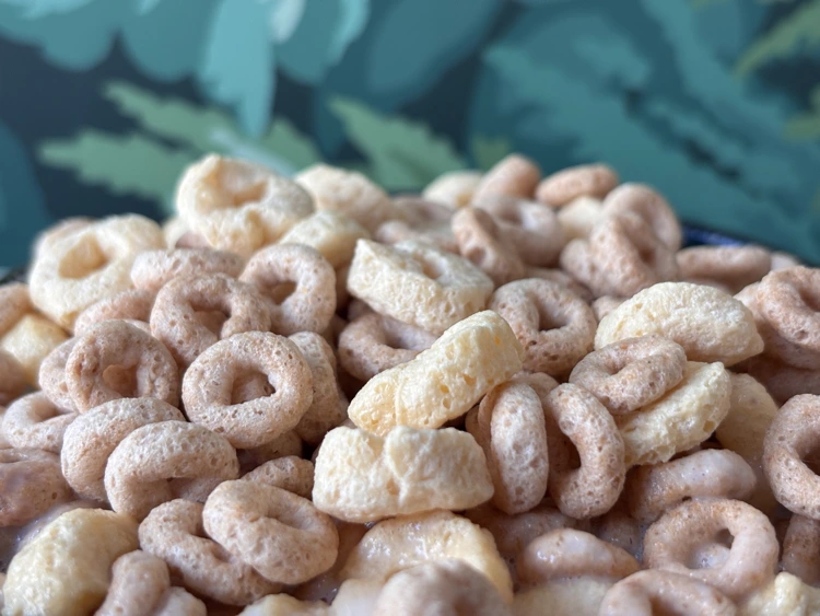 A close up of a bowl of cereal that is a low-sugar substitute for Lucky Charms